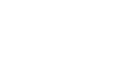 logo ANAMNESE